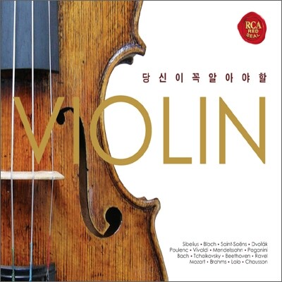 당신이 꼭 알아야 할 바이올린