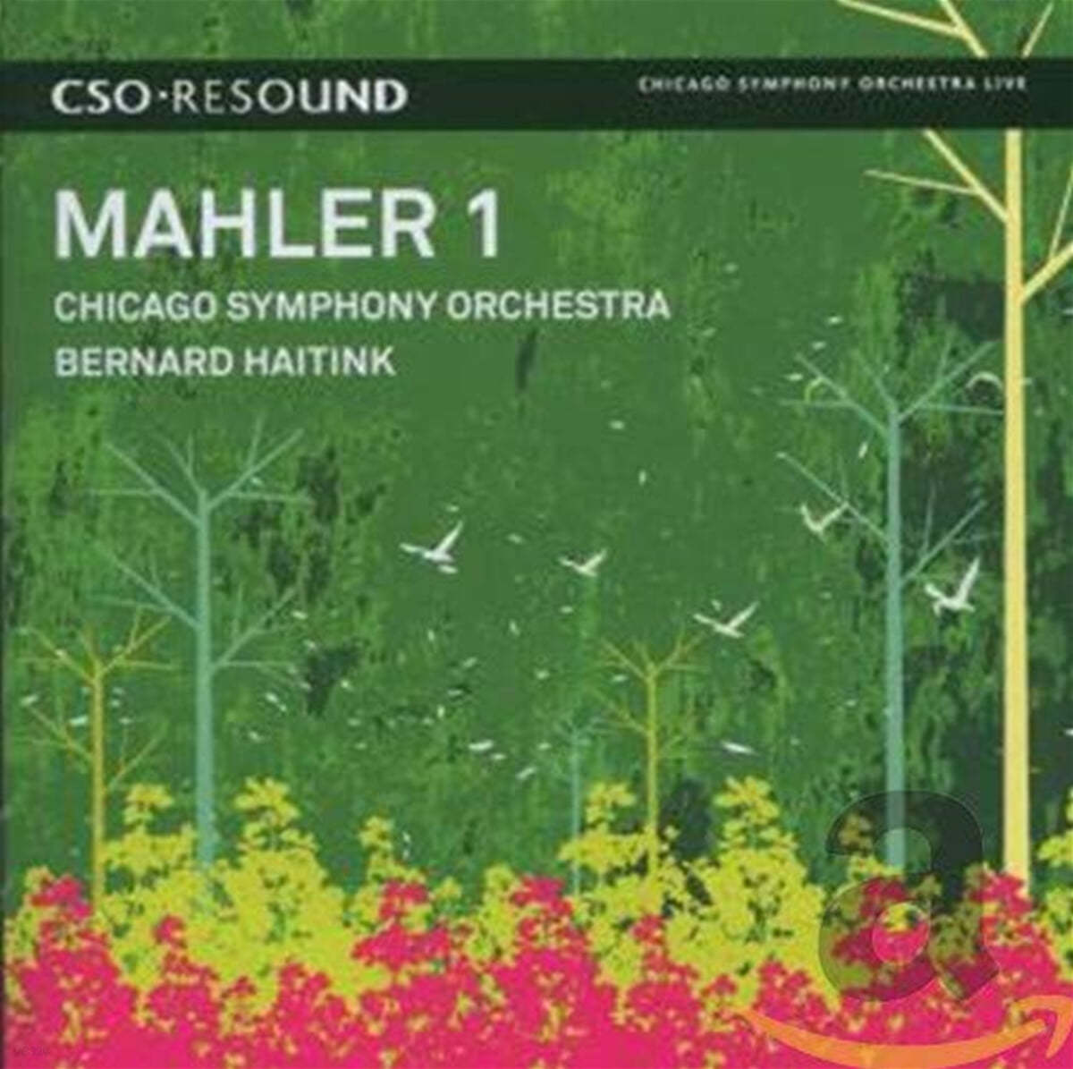 Bernard Haitink 말러: 교향곡 1번 타이탄 - 하이팅크 (Mahler : Symphony No.1 'Titan') 