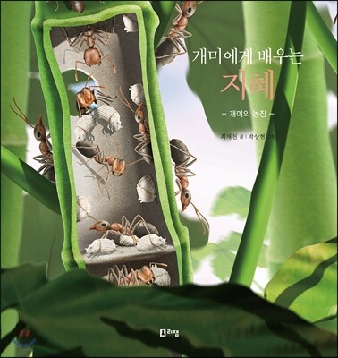 개미에게 배우는 지혜