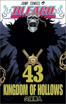 BLEACH ブリ-チ 43