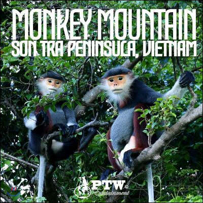 Monkey Mountain Son Tra Peninsula, Vietnam