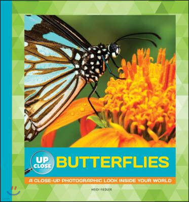 Butterflies: A Close-Up Photographic Look Inside Your World