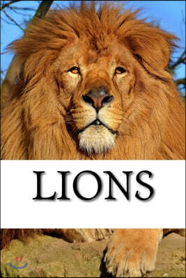 Lion Journal