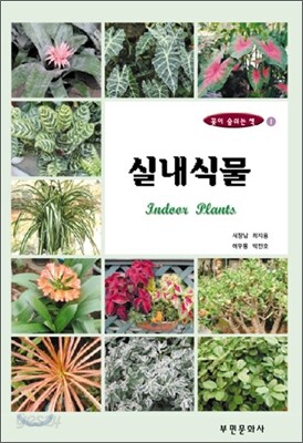 실내식물
