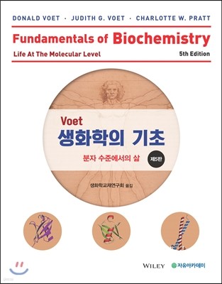 Voet 생화학의 기초