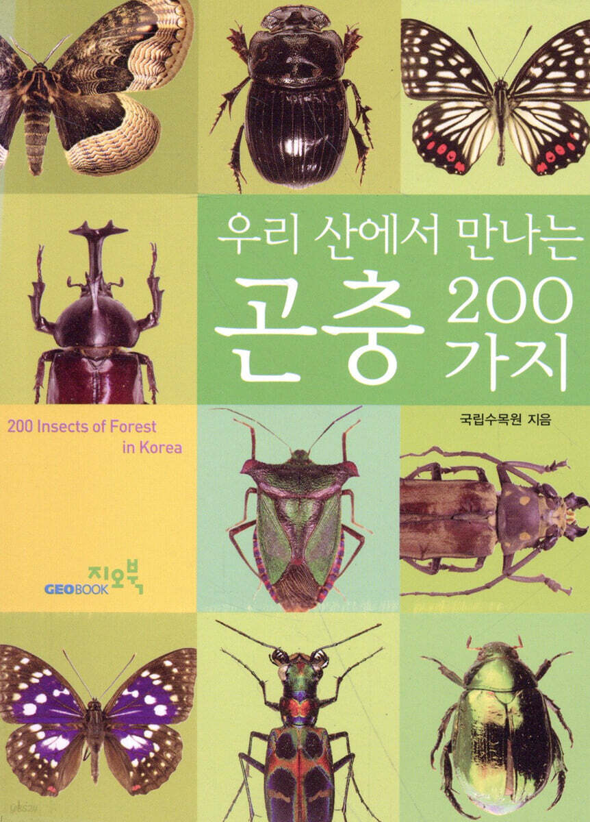 곤충 200가지