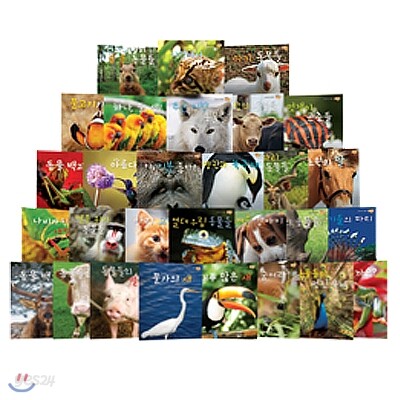 재미 ZOO (사진으로 보는 재미있는 동물원) (전32권)