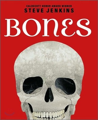 Bones: Skeletons and How They Work