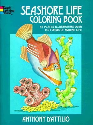 Seashore Life Coloring Book