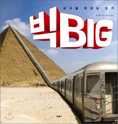 빅 BIG