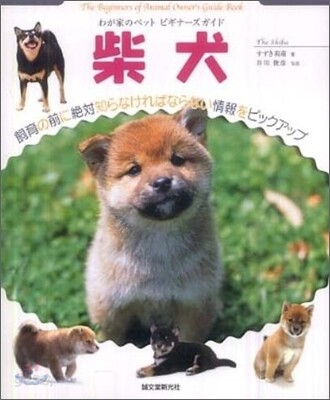 柴犬