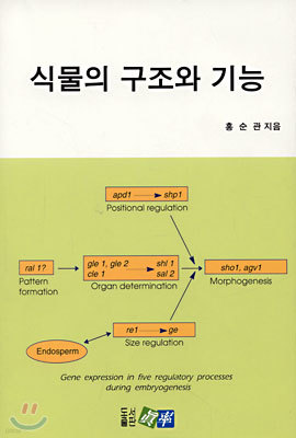 식물의 구조와 기능