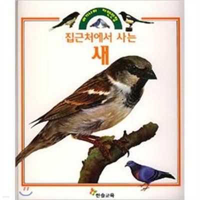 아기나라 자연관찰 /BOX만 개봉한 새 책