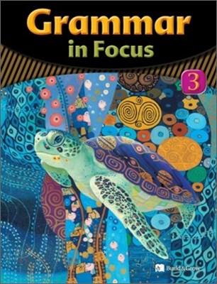 Grammar in Focus 3 : Student Book (Book & CD)