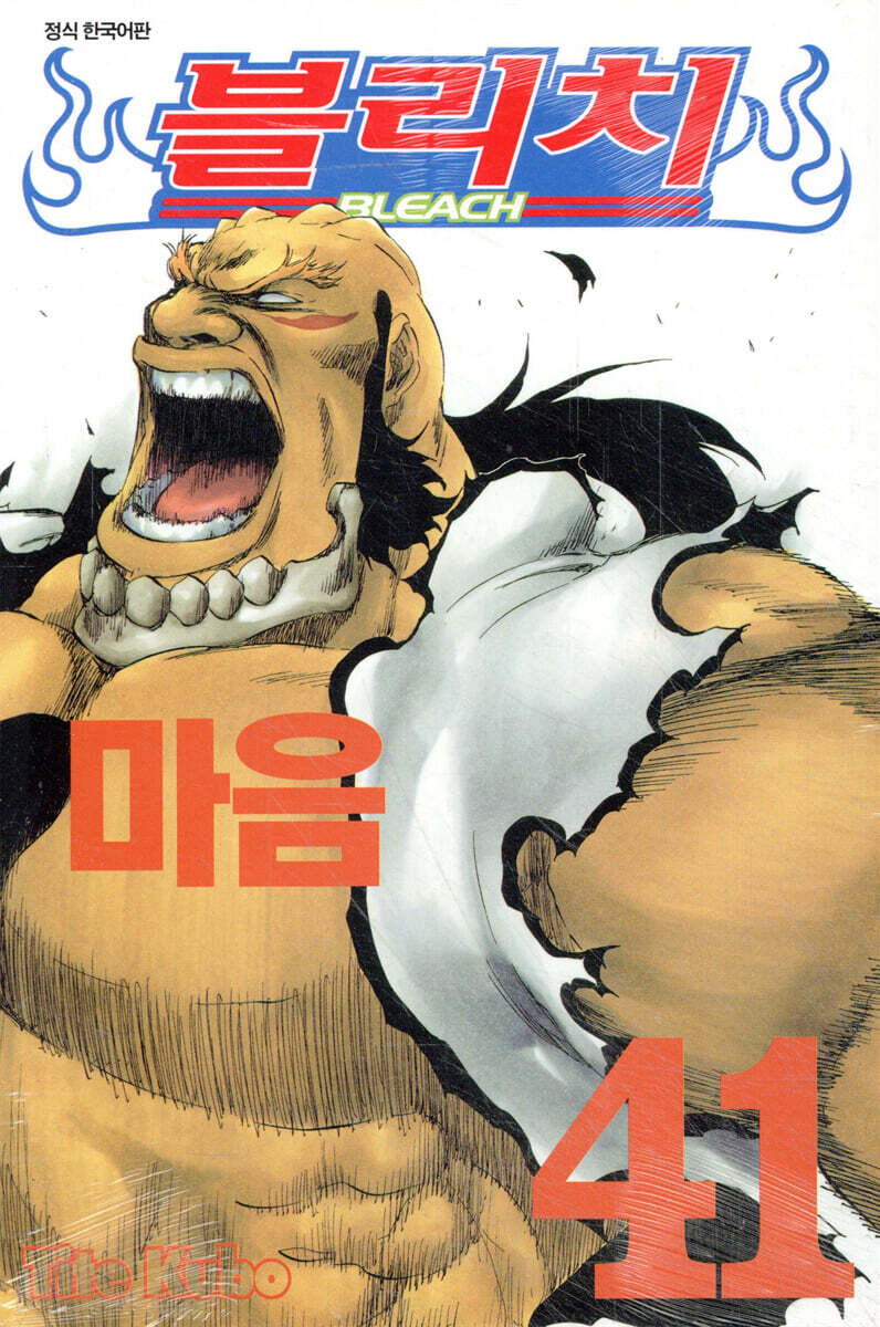 블리치 BLEACH 41