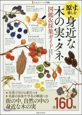 原寸で樂しむ身近な木の實.タネ圖鑑&採集