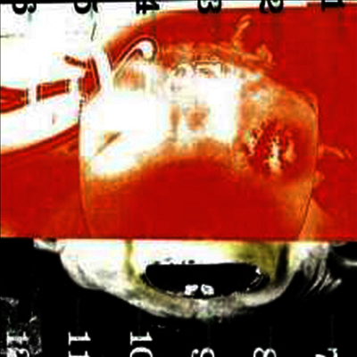 Pixies - Head Carrier (Limited Edition)(180G)(LP)