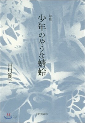 句集 少年のやうなとんぼ