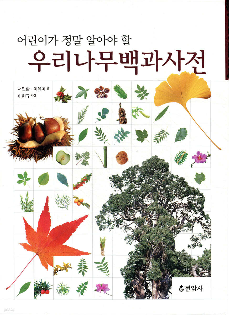 어린이가 정말 알아야 할 우리나무 백과사전