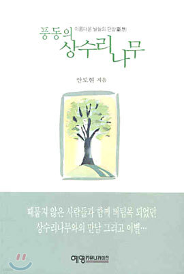 풍동의 상수리나무