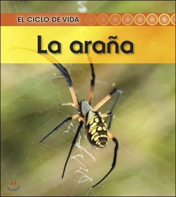 La Arana