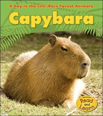 Capybara