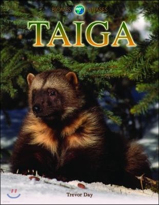 Taiga