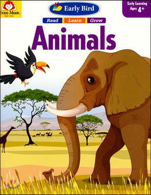 Early Bird: Animals, Age 4 - 5 Workbook