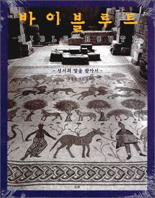 바이블 루트