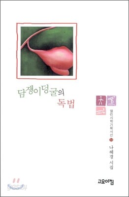 담쟁이덩굴의 독법