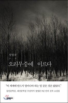 오리무중에 이르다