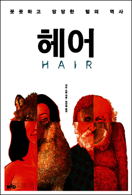 헤어