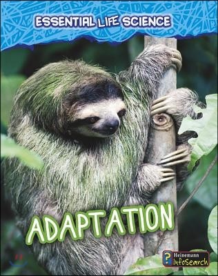 Adaptation