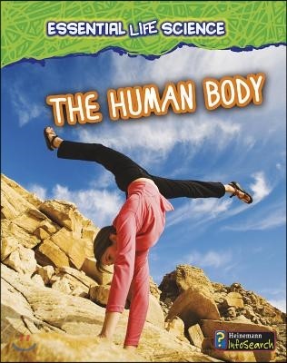 The Human Body