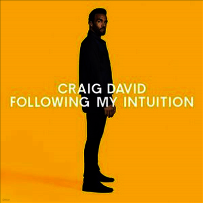 Craig David — Following My Intuition 앨범 커버