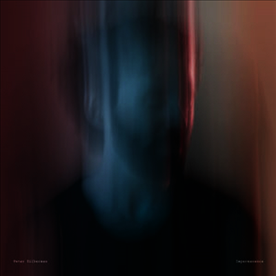 Peter Silberman — Impermanence (Download Card) 앨범 커버