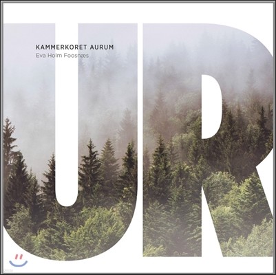 Kammerkoret Arum (Ʒ ǳ â) - UR