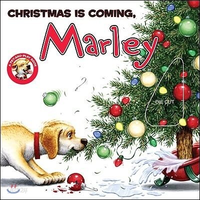 Marley
