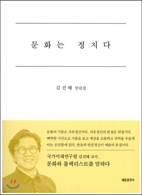 문화는 정치다