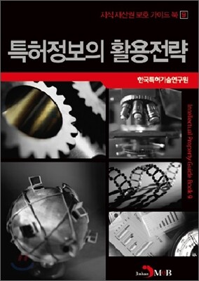 특허정보의 활용전략