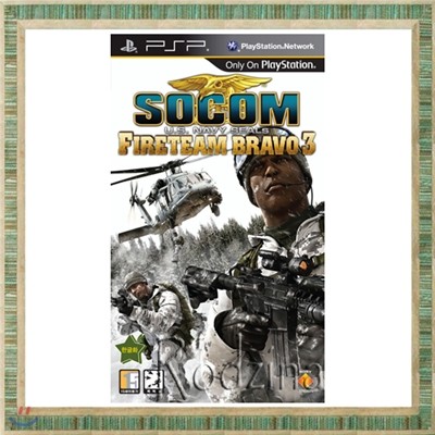 PSP   ̺ ̾  3  SOCOM : Fireteam Bravo3