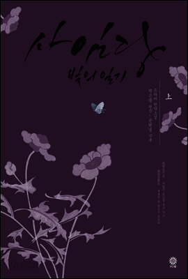 사임당 빛의 일기