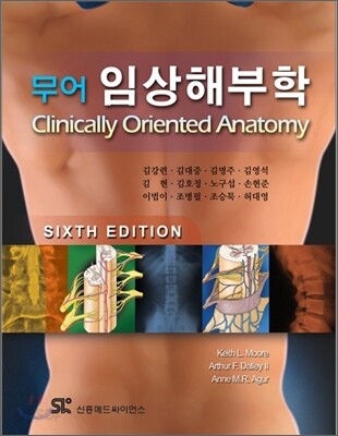 무어 임상해부학