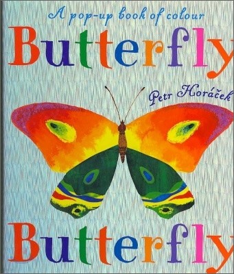 Butterfly, Butterfly