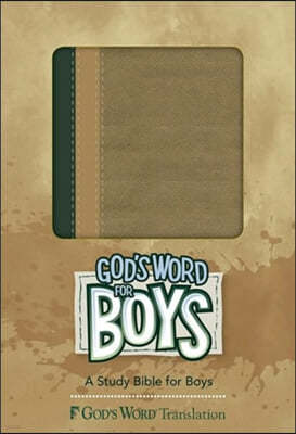 God's Word for Boys