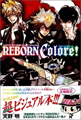 家庭敎師ヒットマンREBORN! 公式ビジュアルブック REBORN Colore!