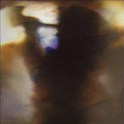 Animal Collective (애니멀 컬렉티브) - Fall Be Kind [12인치 싱글 LP]