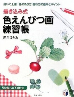 描きこみ式色えんぴつ畵練習帳