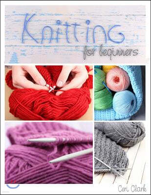 Password Book (Knitting for Beginners): A discreet internet password organizer