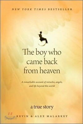The Boy Who Came Back from Heaven